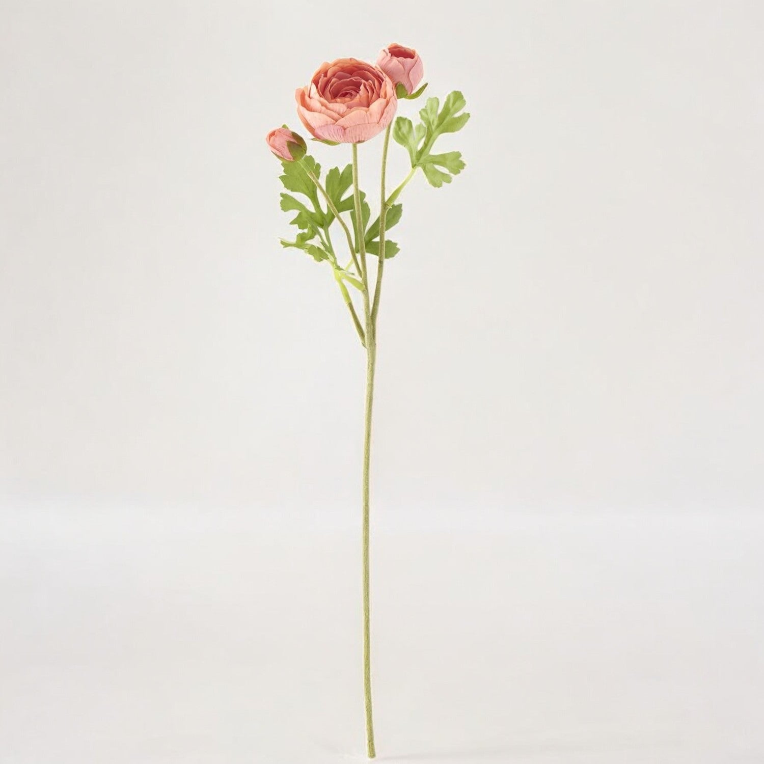 Coral Real Touch Ranunculus Stem - Izaria Home