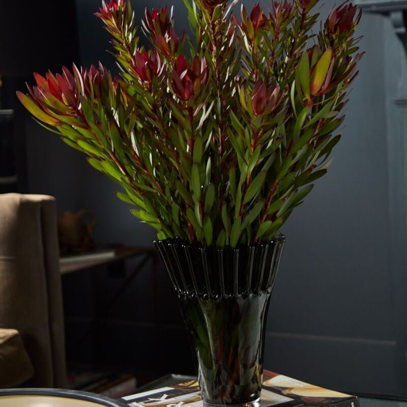 Lolanthe Vase - Izaria Home