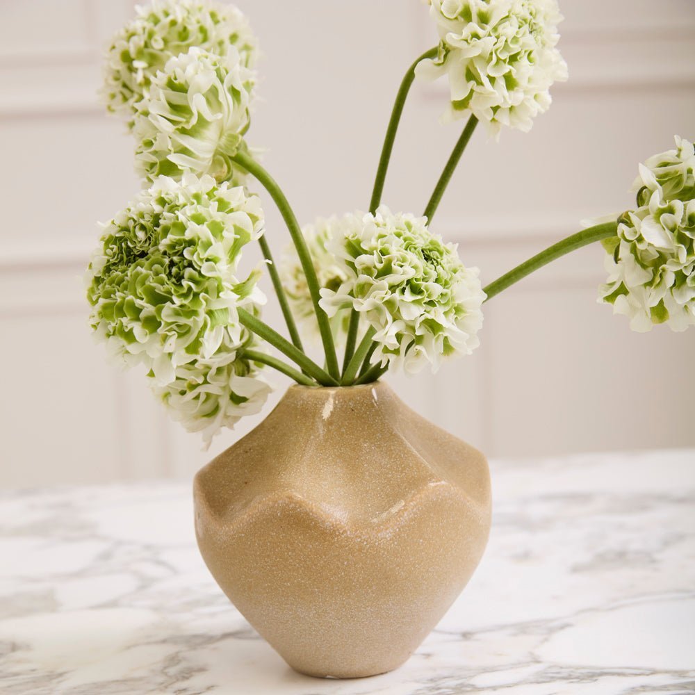 Whitman Budvase - Izaria Home